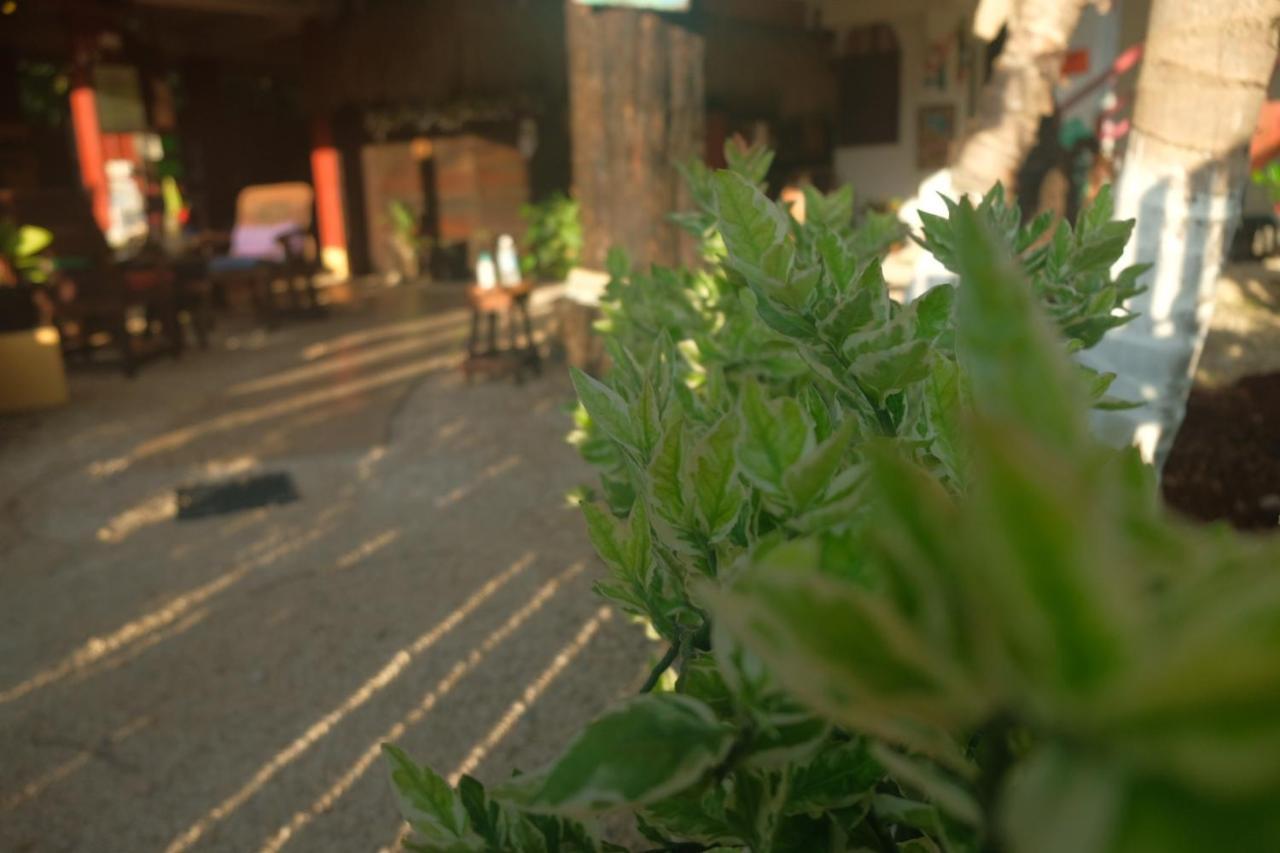 Near Lake Hostal Bacalar Exterior photo